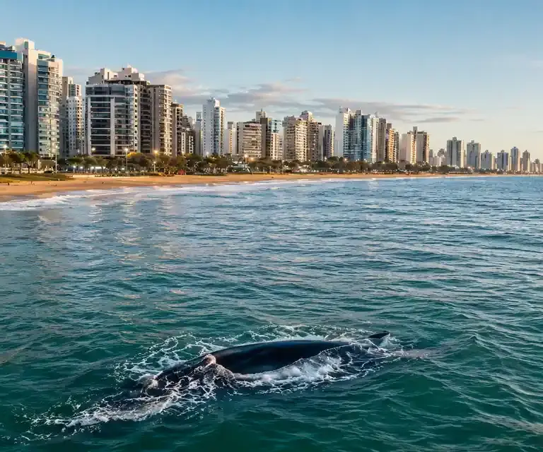 baleias-francas na Praia de Itaparica
